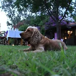 Hotel Esralina Çıralı
