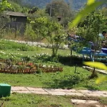 Esralina Çıralı