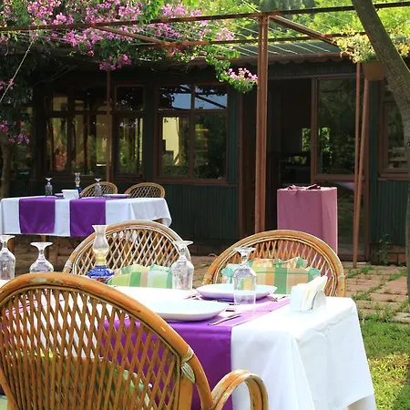 Esralina * Çıralı