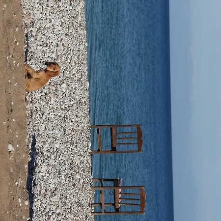 Esralina * Çıralı