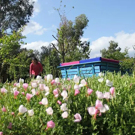 Esralina Hotel Çıralı