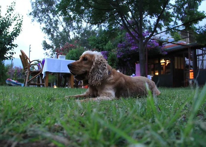 Szálloda Esralina Çıralı