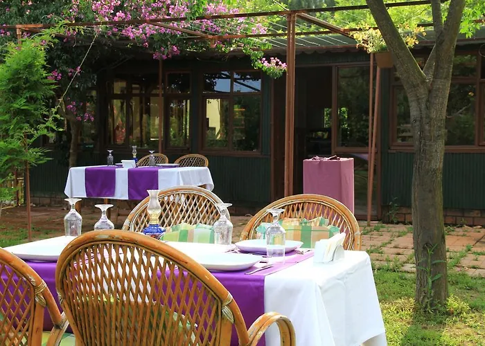 Esralina * Çıralı