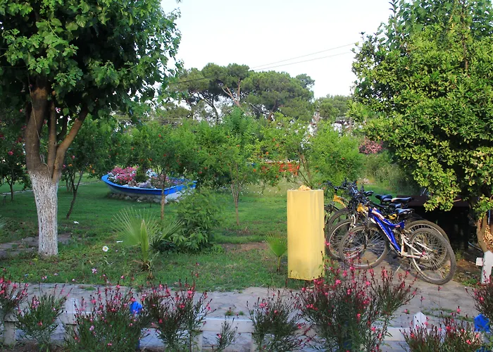 Esralina * Çıralı