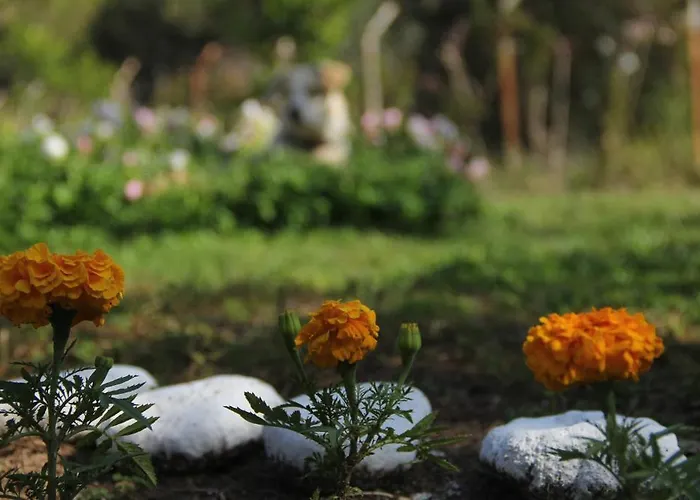 Esralina Szálloda *