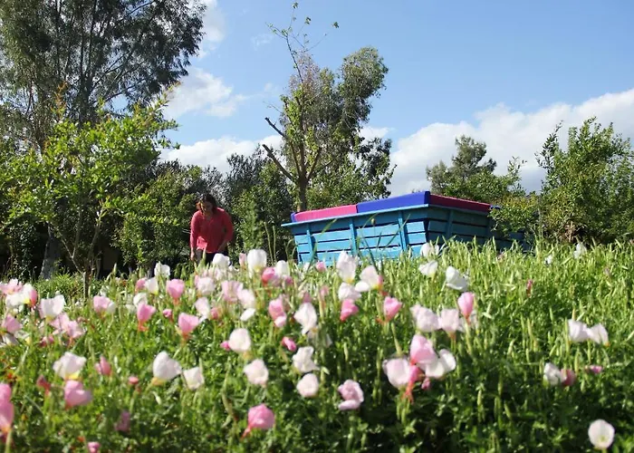 Esralina Szálloda Çıralı