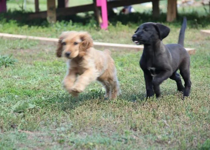 Esralina Szálloda *