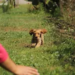 Esralina